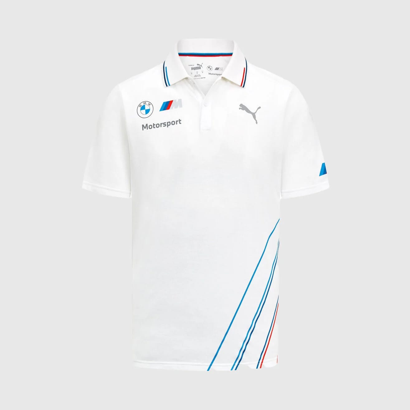 BMW Motorsport Team Polo