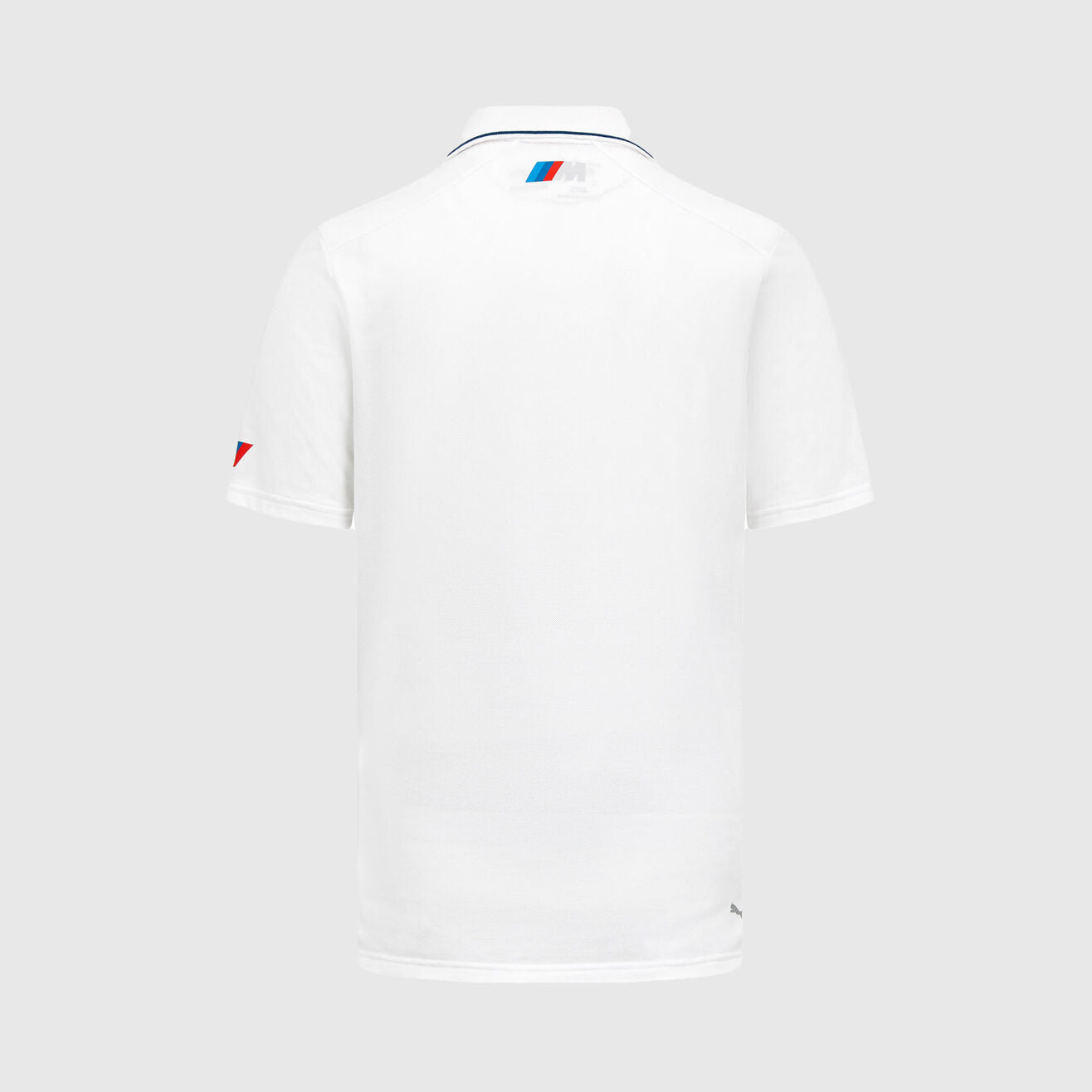 BMW Motorsport Team Polo